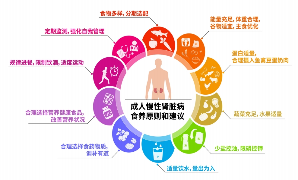 成人慢性肾脏病食养指南.png 成人慢性肾脏病食养指南.png