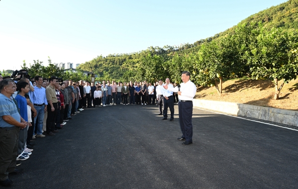 S9e0150a7d58f4dda8034ec07b0336352-600.jpeg S9e0150a7d58f4dda8034ec07b0336352-600.jpeg