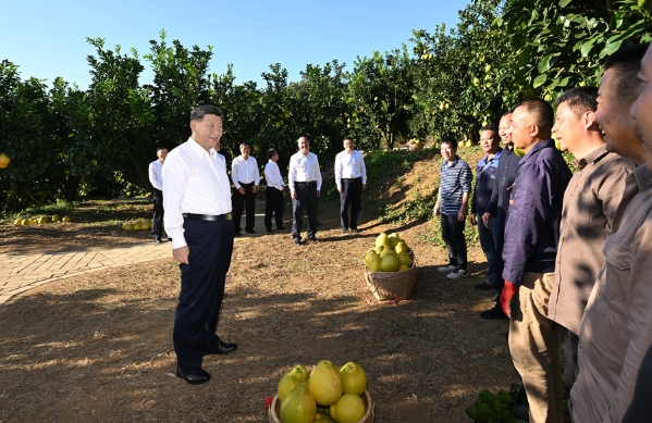 S668bd3c01efb4a0bb4e3d6757a0901b3-600.jpeg S668bd3c01efb4a0bb4e3d6757a0901b3-600.jpeg