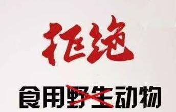 1062760ebcb3bc5@344x219.jpg 1062760ebcb3bc5@344x219.jpg