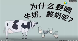 奶类：为什么要喝牛奶酸奶呢