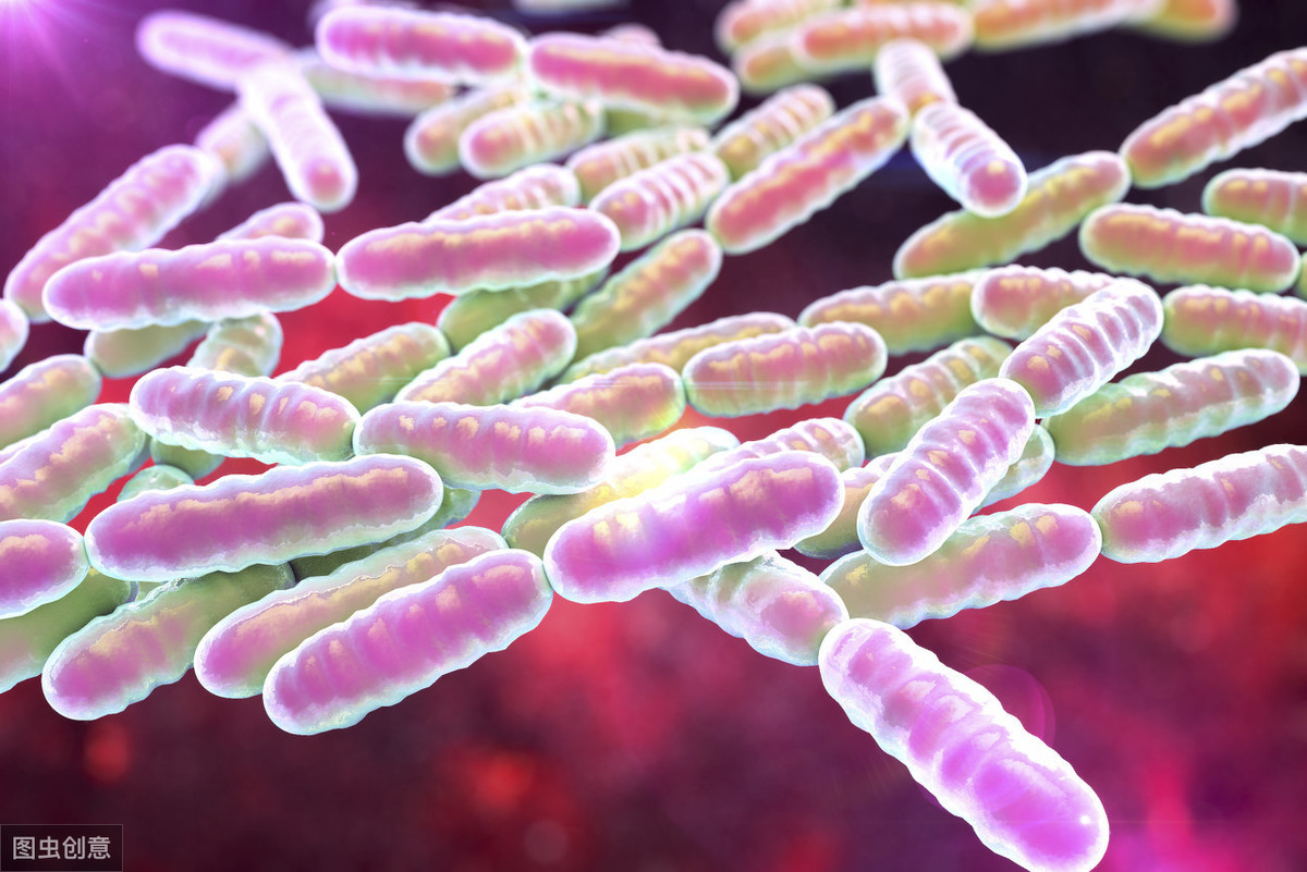 共识丨《中国营养学会益生菌与健康专家共识》正式发布