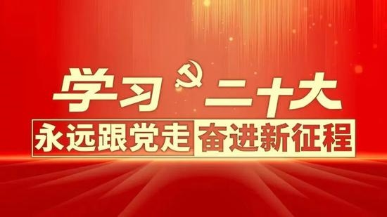 坚定不移全面从严治党（认真学习宣传贯彻党的二十大精神）