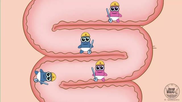 《中国营养学会益生元与健康专家共识》概要